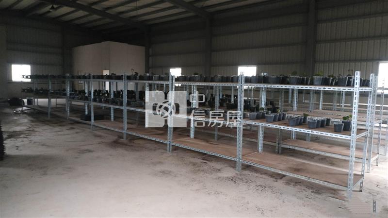 近觀音高中【育苗室】房屋室內格局與周邊環境