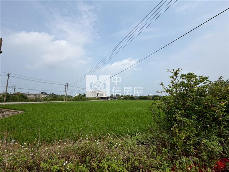 【安家】觀音仁愛路農+建房屋室內格局與周邊環境