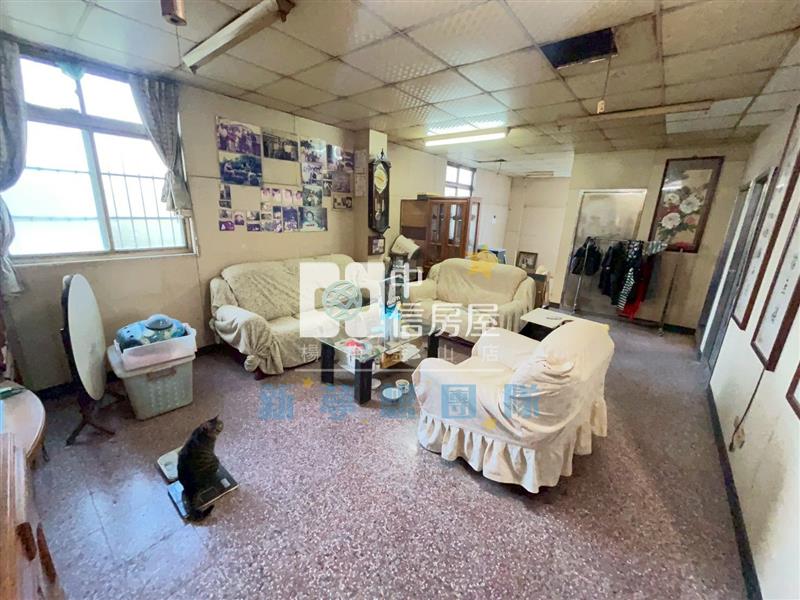 【新夢想】龍潭交流道46米大面都內農舍房屋室內格局與周邊環境