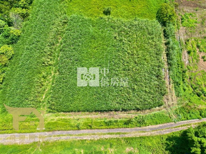 楊梅｜中山南路旁都內農地房屋室內格局與周邊環境