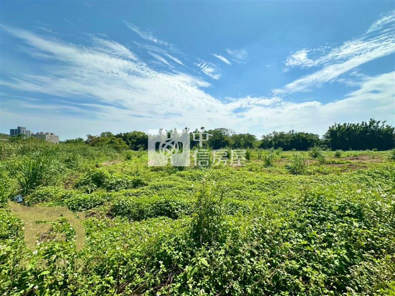 楊梅｜中山南路旁都內農地房屋室內格局與周邊環境