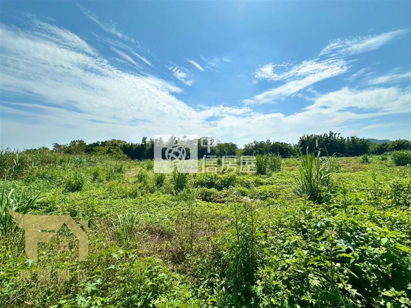 楊梅｜中山南路旁都計內美農地房屋室內格局與周邊環境