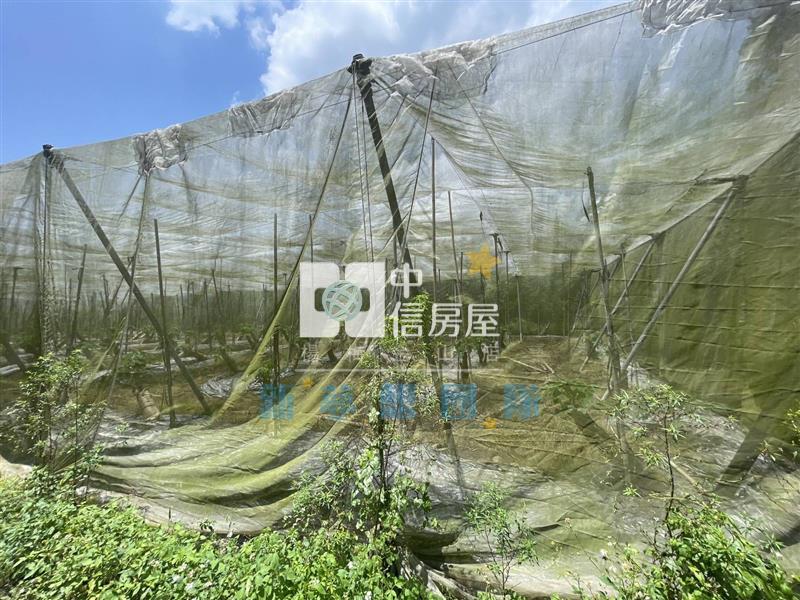 【新夢想】南投國姓鄉買地送屋房屋室內格局與周邊環境