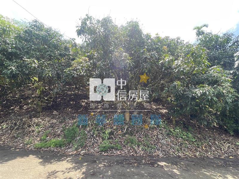 【新夢想】南投國姓鄉買地送屋房屋室內格局與周邊環境