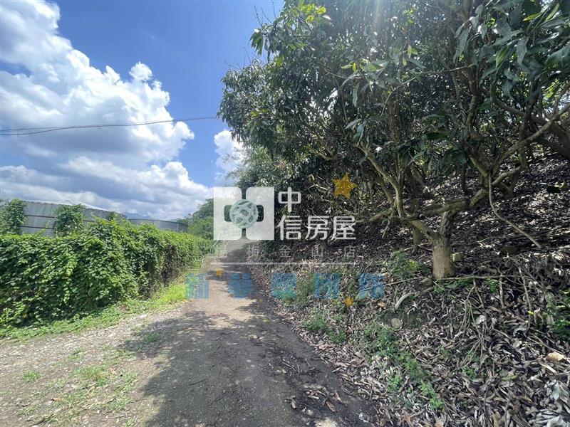 【新夢想】南投國姓鄉買地送屋房屋室內格局與周邊環境