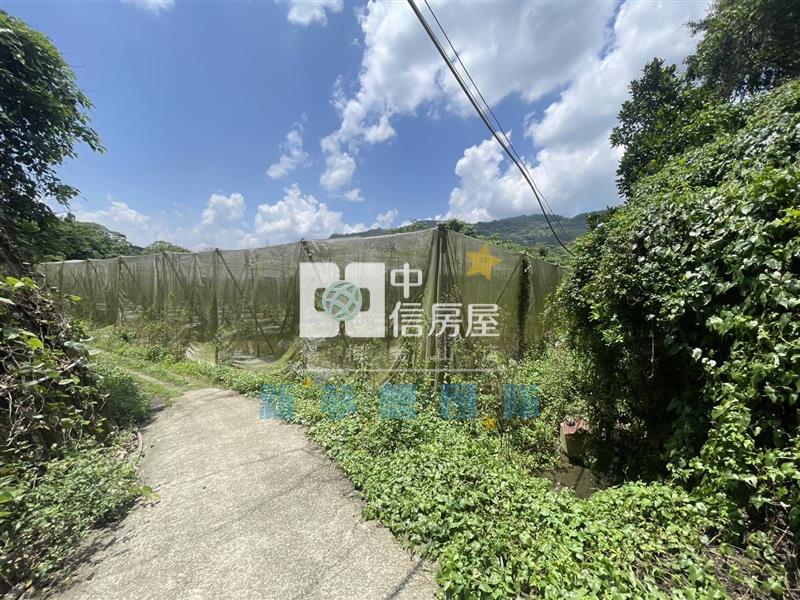 【新夢想】南投國姓鄉買地送屋房屋室內格局與周邊環境