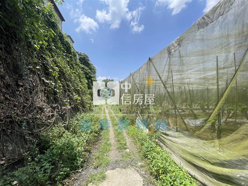 【新夢想】南投國姓鄉買地送屋房屋室內格局與周邊環境