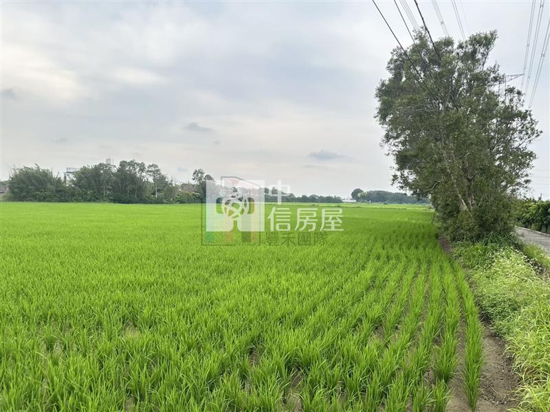 【豐禾】新屋區三面臨路田房屋室內格局與周邊環境