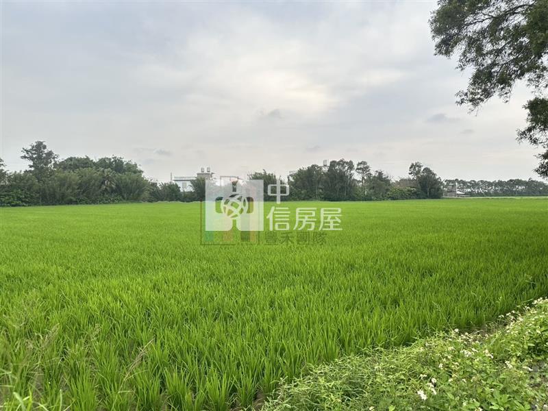 【豐禾】新屋區三面臨路田房屋室內格局與周邊環境