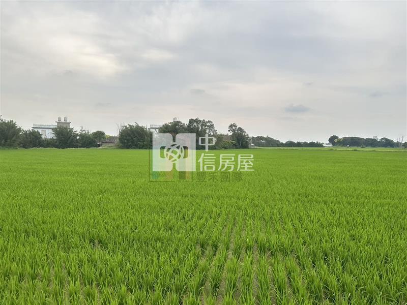 【豐禾】新屋區三面臨路田房屋室內格局與周邊環境