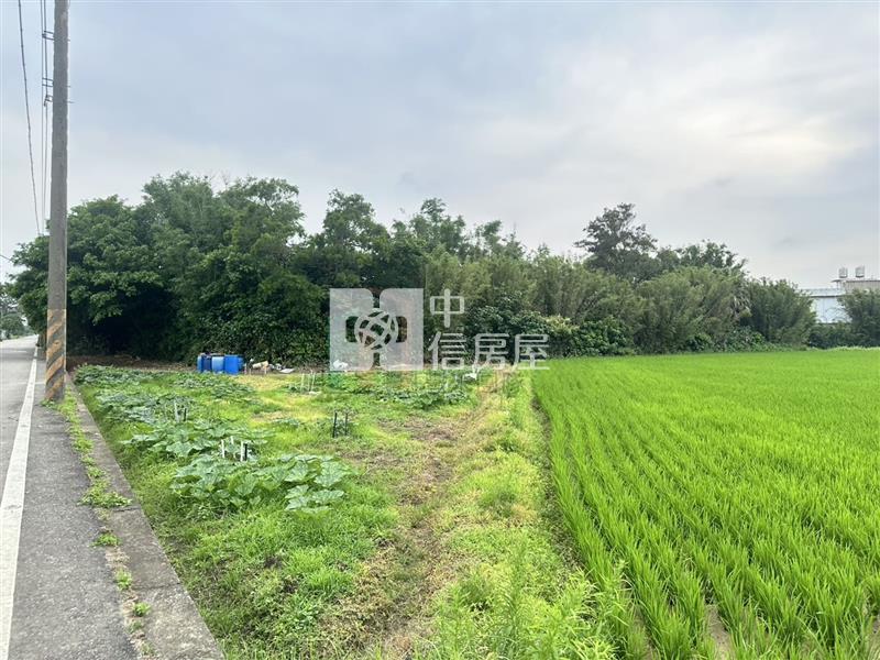 【豐禾】新屋區三面臨路田房屋室內格局與周邊環境