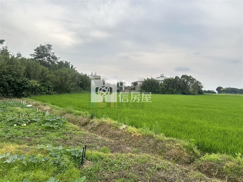 【豐禾】新屋區三面臨路田房屋室內格局與周邊環境