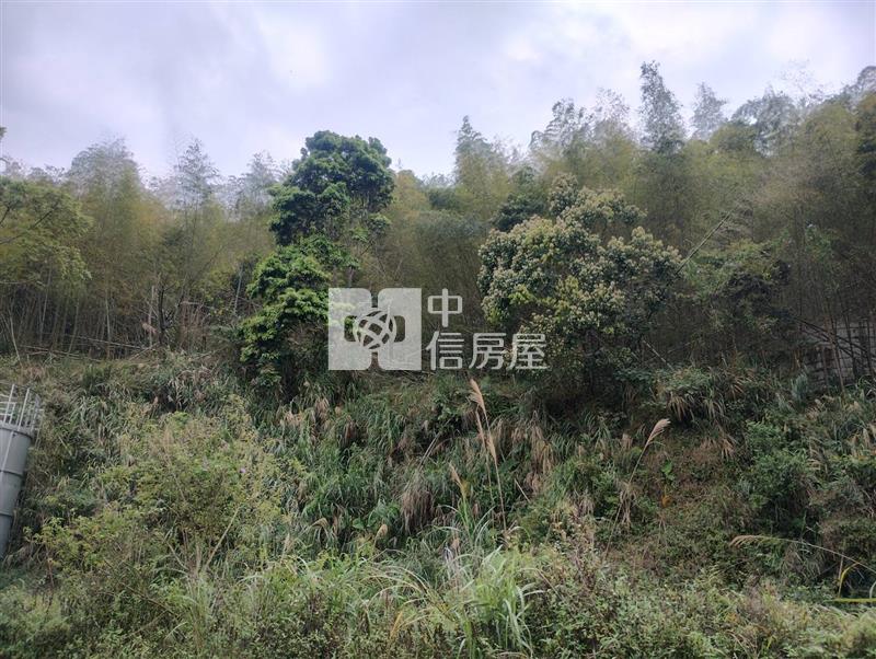 嘉義梅山鄉農牧用地房屋室內格局與周邊環境