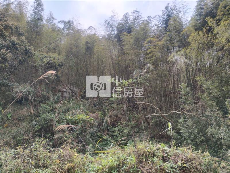 嘉義梅山鄉農牧用地房屋室內格局與周邊環境