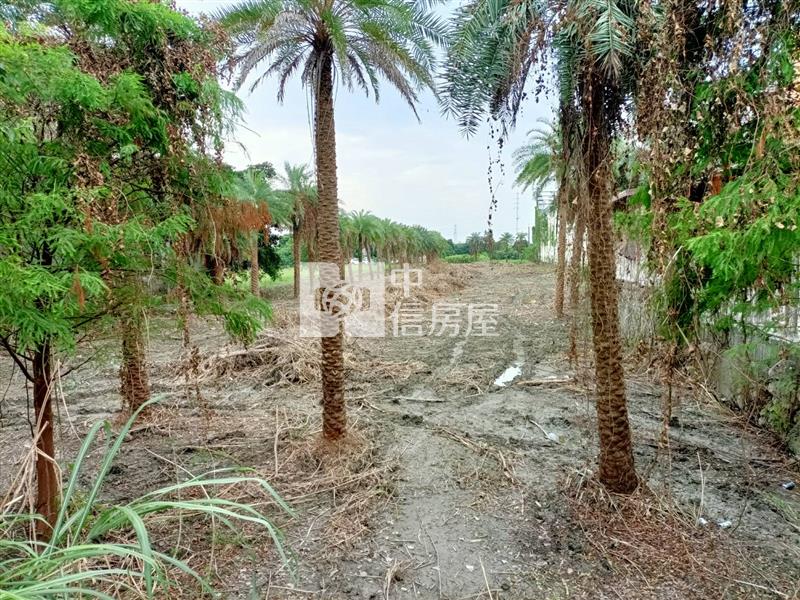 D248宜蘭蘇澳交流道工業用地房屋室內格局與周邊環境