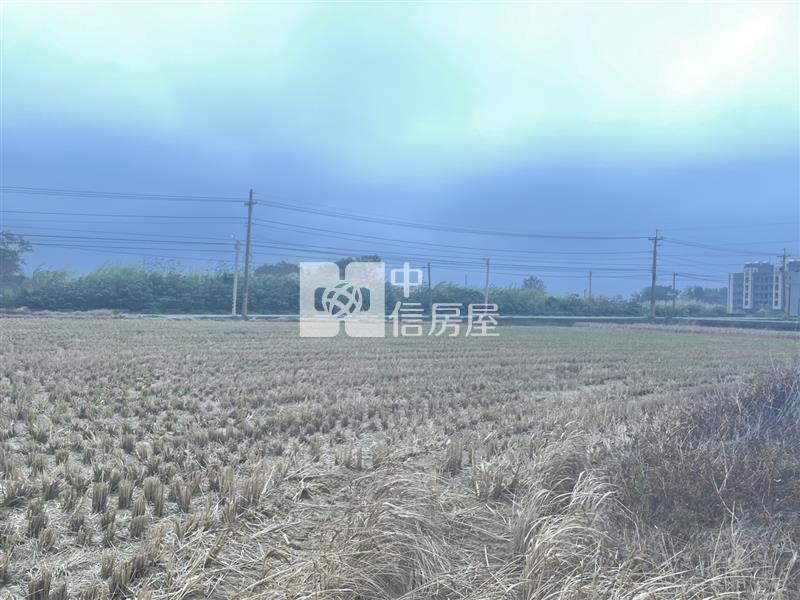 【新世紀】永安國小田+建房屋室內格局與周邊環境