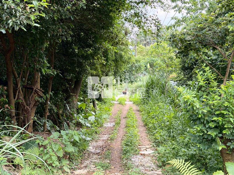 龍潭交流道旁開心小農地房屋室內格局與周邊環境