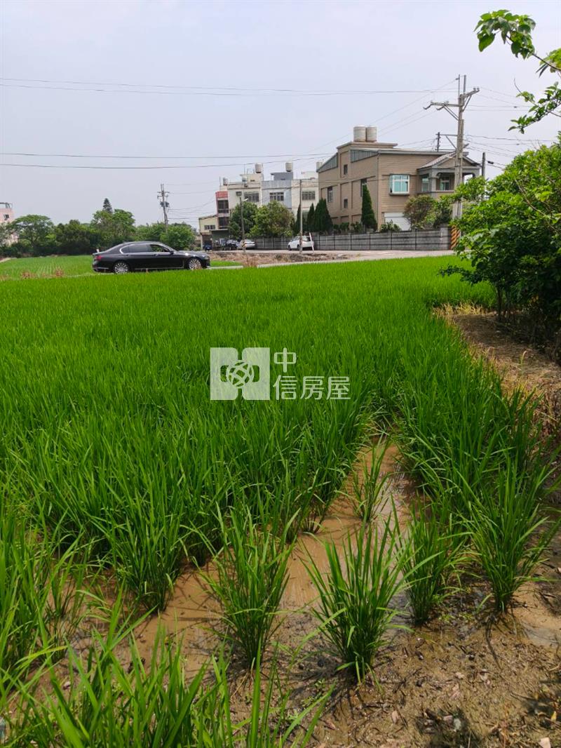 新屋◎低總價｜三民路農地｜雙面臨路房屋室內格局與周邊環境