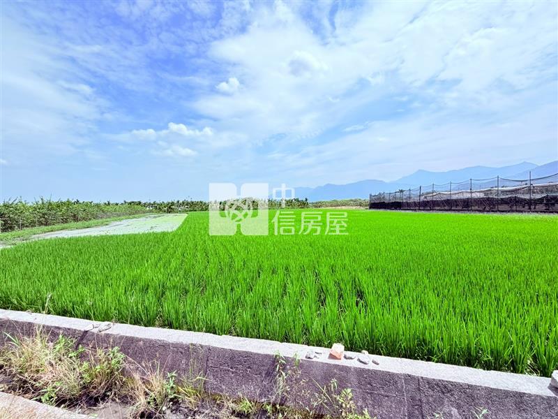 鹽埔振北農保農舍農地房屋室內格局與周邊環境