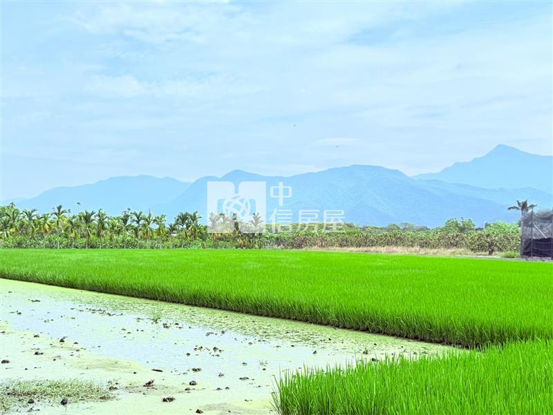 鹽埔振北農保農舍農地房屋室內格局與周邊環境