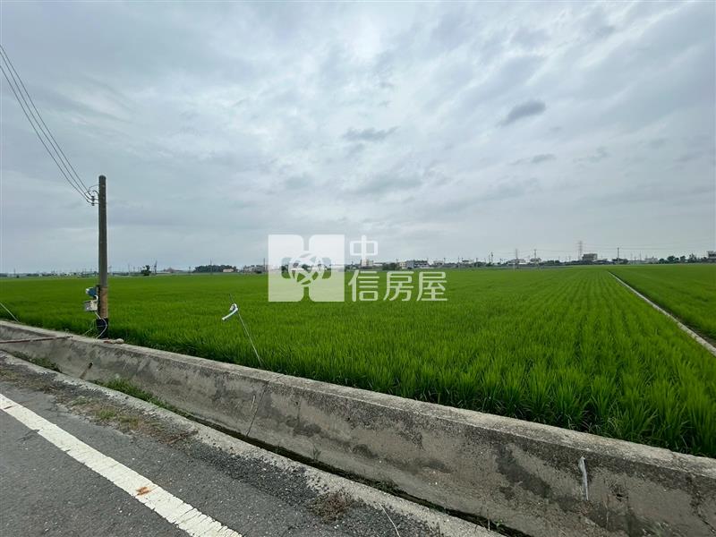 山寮大面積農地房屋室內格局與周邊環境