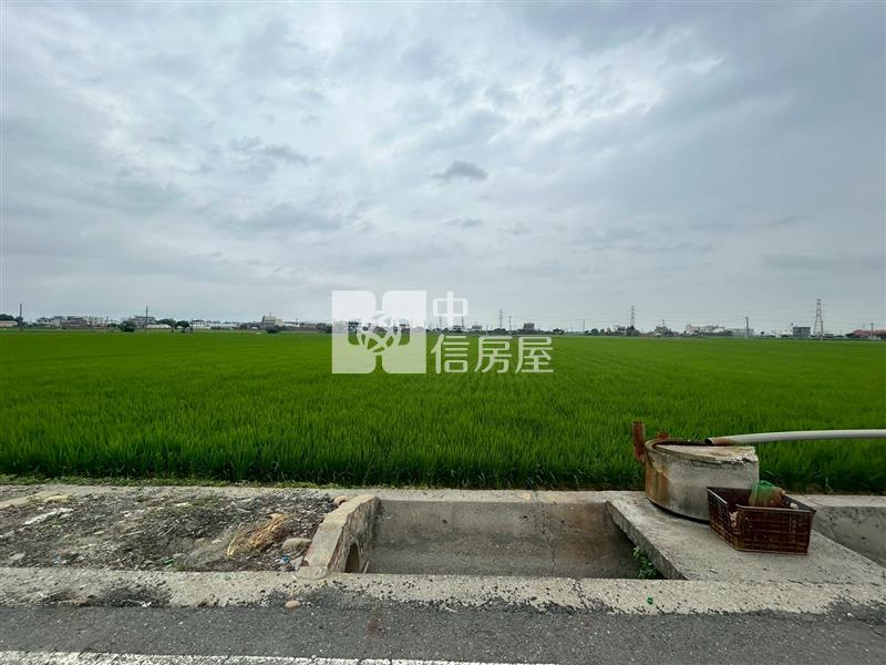 山寮大面積農地房屋室內格局與周邊環境