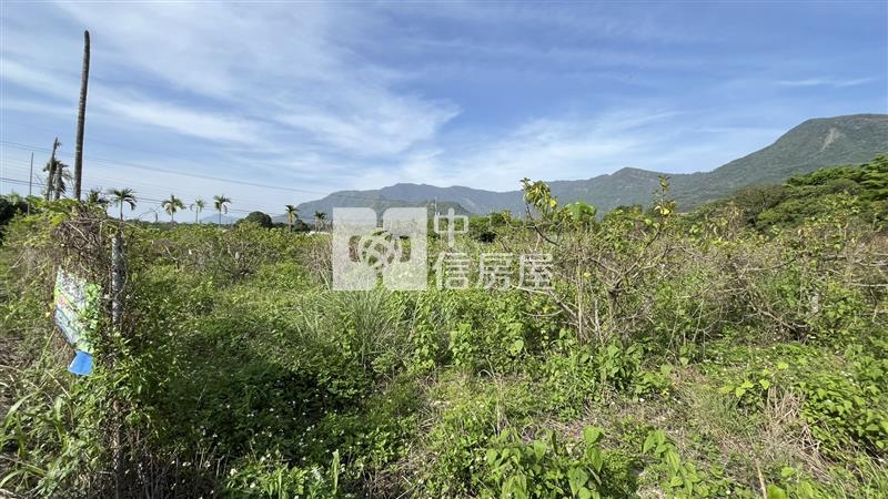 高樹泰興段大面寬農地房屋室內格局與周邊環境
