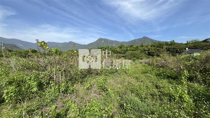 高樹泰興段大面寬農地房屋室內格局與周邊環境