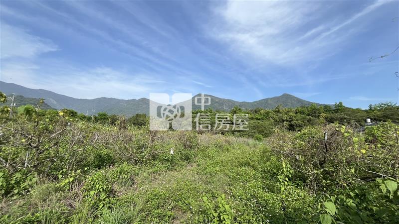 高樹泰興段大面寬農地房屋室內格局與周邊環境