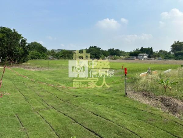 三宅一生都計內農地