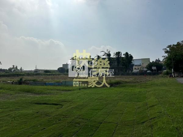 三宅一生都計內農地房屋室內格局與周邊環境