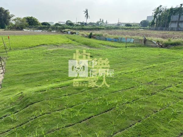三宅一生都計內農地房屋室內格局與周邊環境