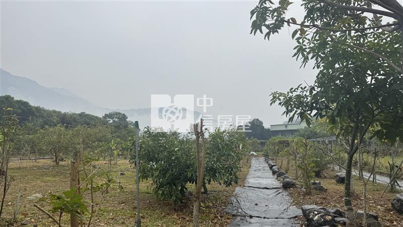 屏東土地《高樹山間雲霧一畝田》房屋室內格局與周邊環境