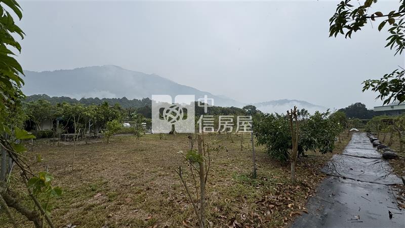 屏東土地《高樹山間雲霧一畝田》房屋室內格局與周邊環境