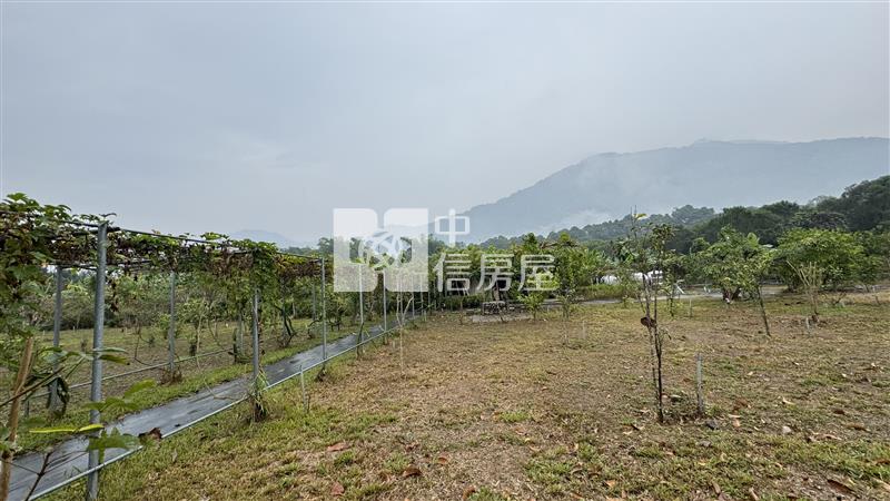屏東土地《高樹山間雲霧一畝田》房屋室內格局與周邊環境