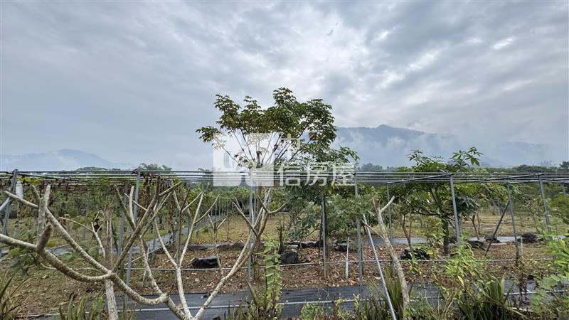屏東土地《高樹山間雲霧一畝田》房屋室內格局與周邊環境