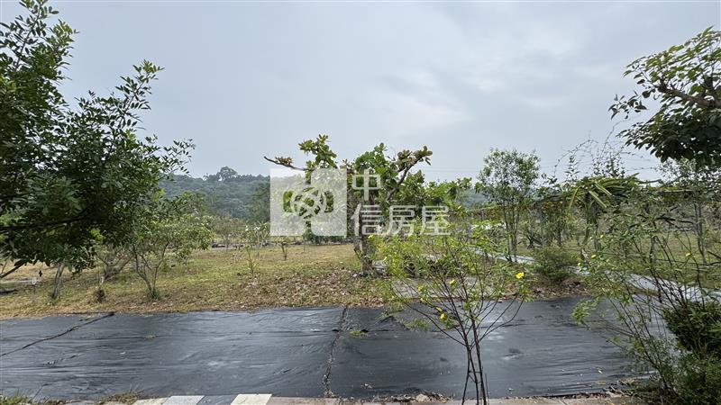 屏東土地《高樹山間雲霧一畝田》房屋室內格局與周邊環境