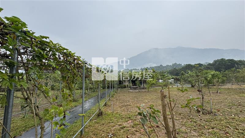 屏東土地《高樹山間雲霧一畝田》房屋室內格局與周邊環境