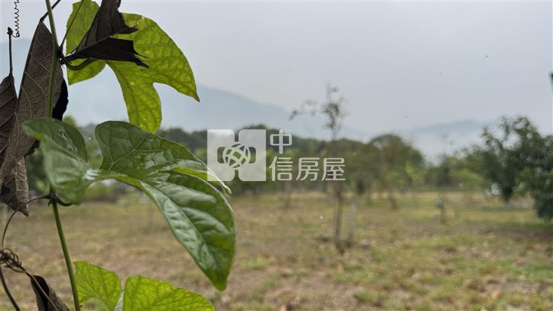 屏東土地《高樹山間雲霧一畝田》房屋室內格局與周邊環境