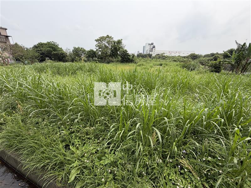 （專約）桃園八德臨重劃大馬路都計農房屋室內格局與周邊環境