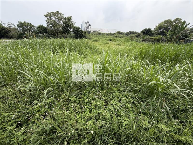 （專約）桃園八德臨重劃大馬路都計農房屋室內格局與周邊環境