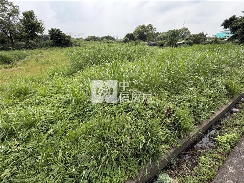 （專約）桃園八德臨重劃大馬路都計農房屋室內格局與周邊環境