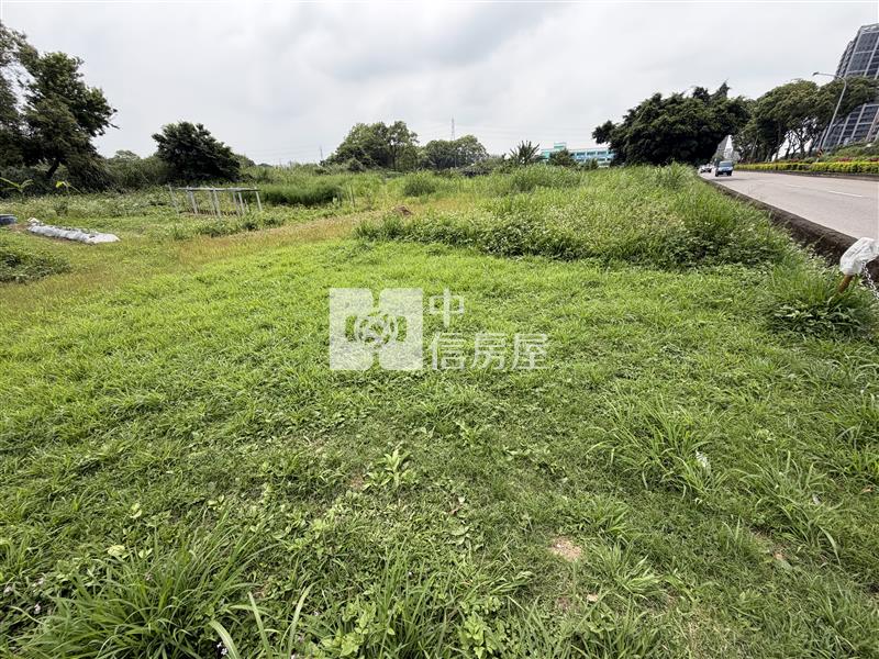 （專約）桃園八德臨重劃大馬路都計農房屋室內格局與周邊環境