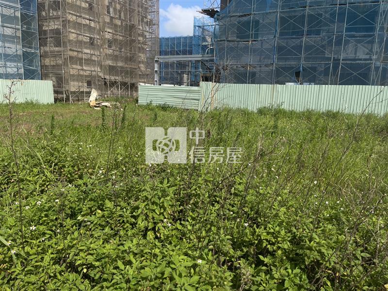航空城-安置街廓建地房屋室內格局與周邊環境