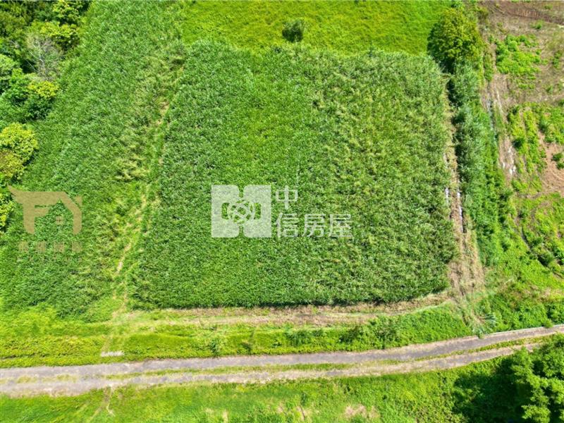 楊梅中山南路都大坪都計內農地房屋室內格局與周邊環境