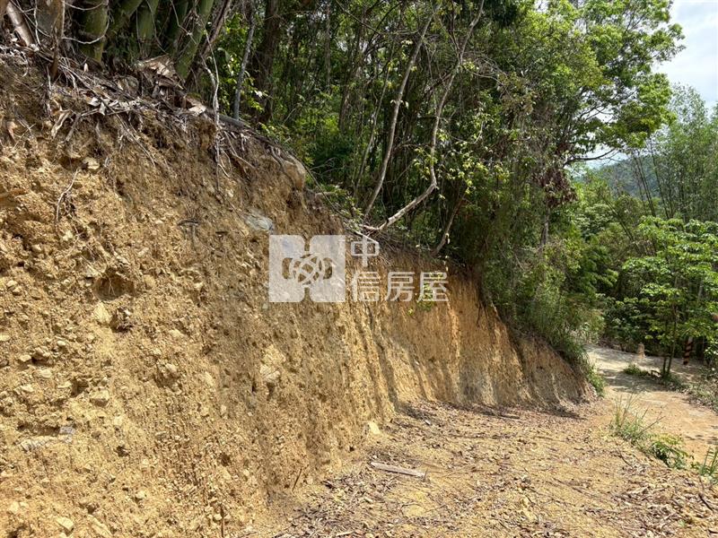 桃米一甲房屋室內格局與周邊環境