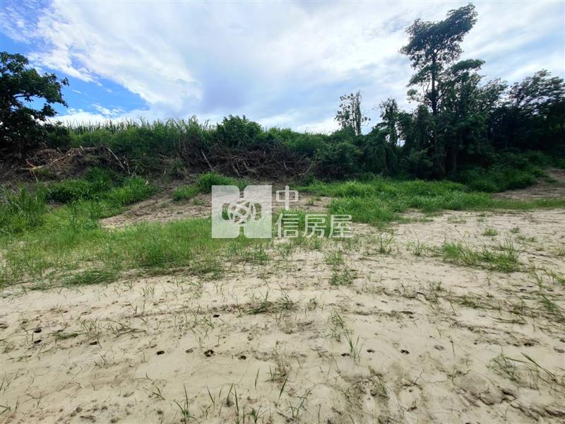 善化曾文溪旁優質農地房屋室內格局與周邊環境