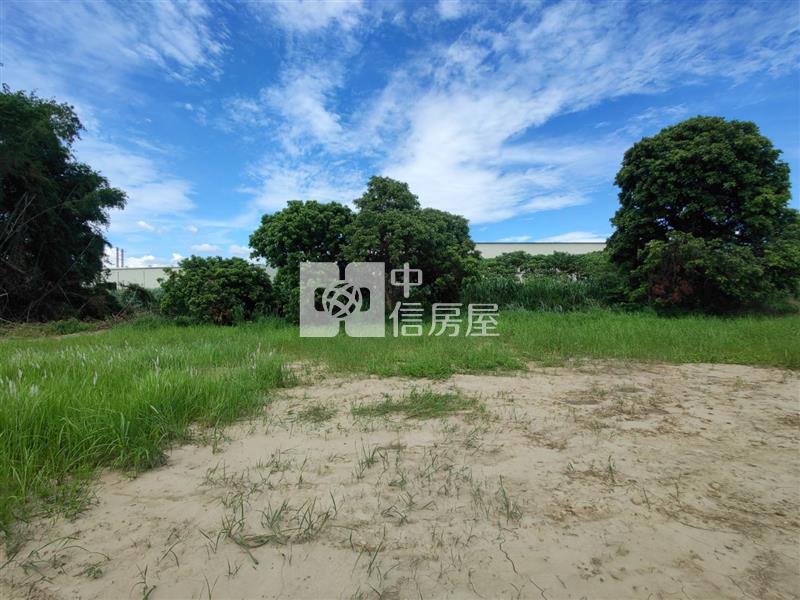 善化曾文溪旁優質農地房屋室內格局與周邊環境