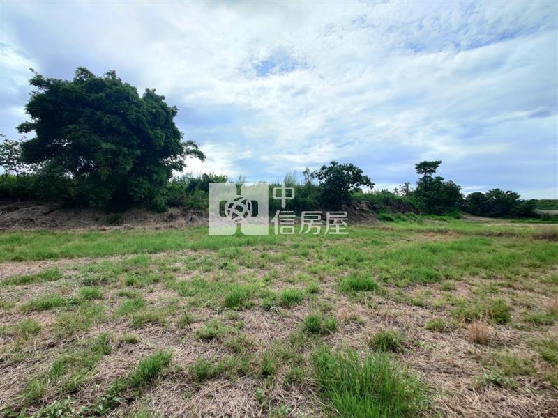 善化曾文溪旁優質農地房屋室內格局與周邊環境