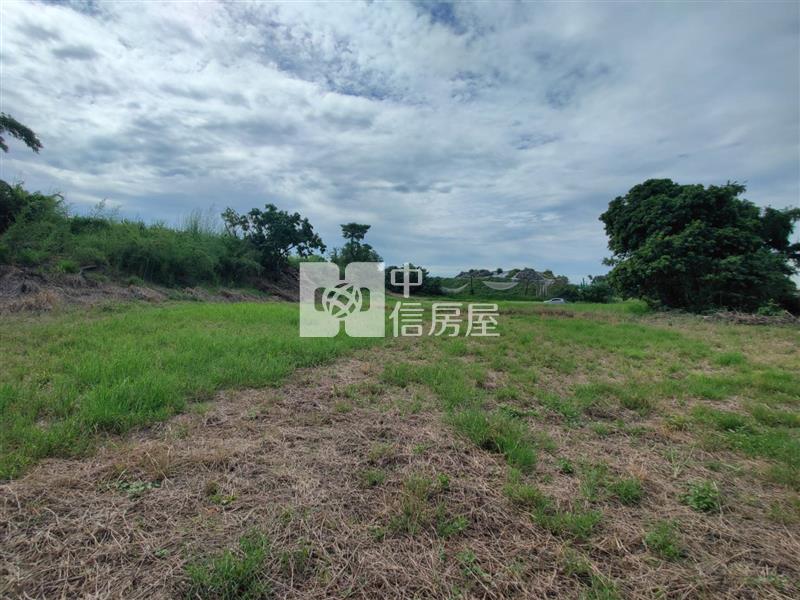 善化曾文溪旁優質農地房屋室內格局與周邊環境